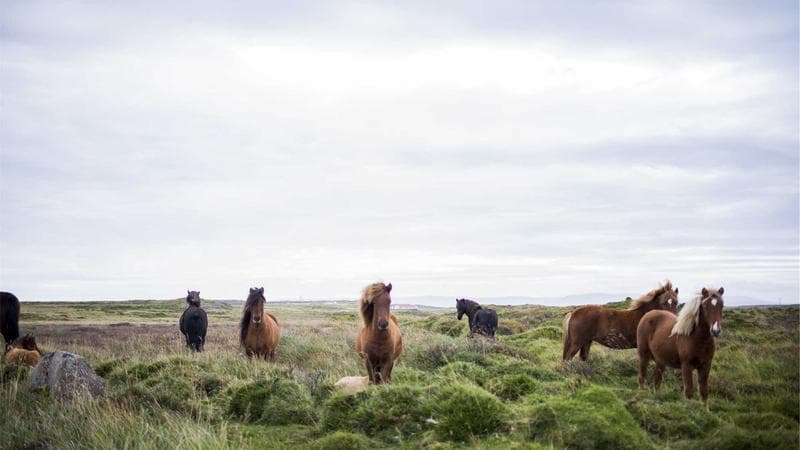Historic Election Reforms Sweep Across European Democracies