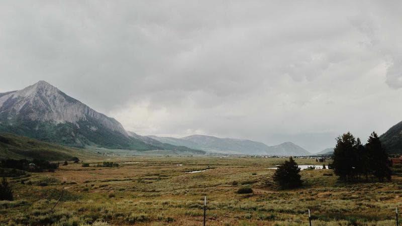 Scientists Achieve Major Quantum Computing Breakthrough with 1000-Qubit Processor