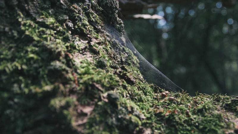 UN Announces Major New Peacekeeping Initiative in Eastern Africa